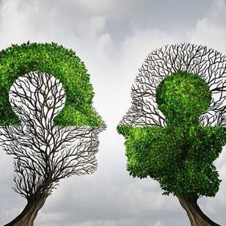 קורס/סדנת ריקול הילינג זוגיות, פיריון והורות (יומיים)